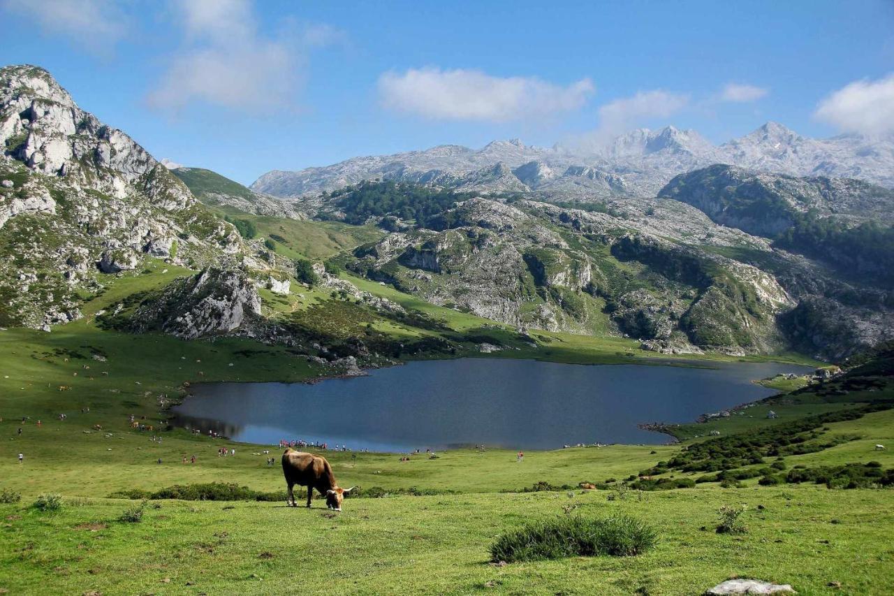 Casa Rural Kiko Asturias Bimenes Dış mekan fotoğraf